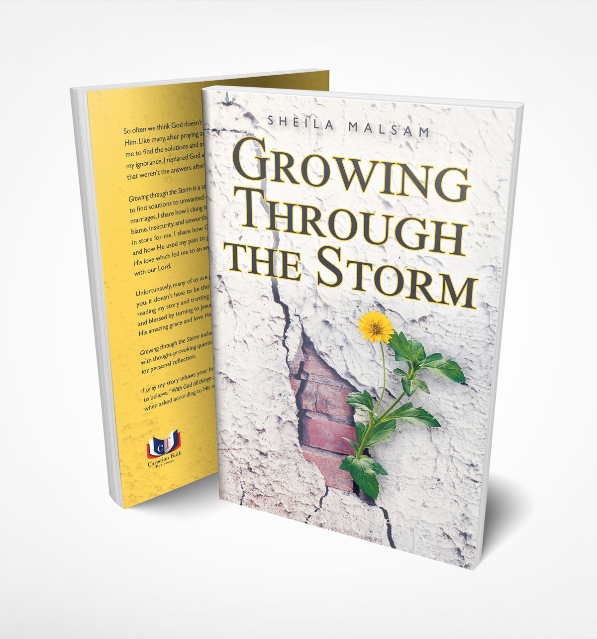 Prayer Capsule & Book Bundle
